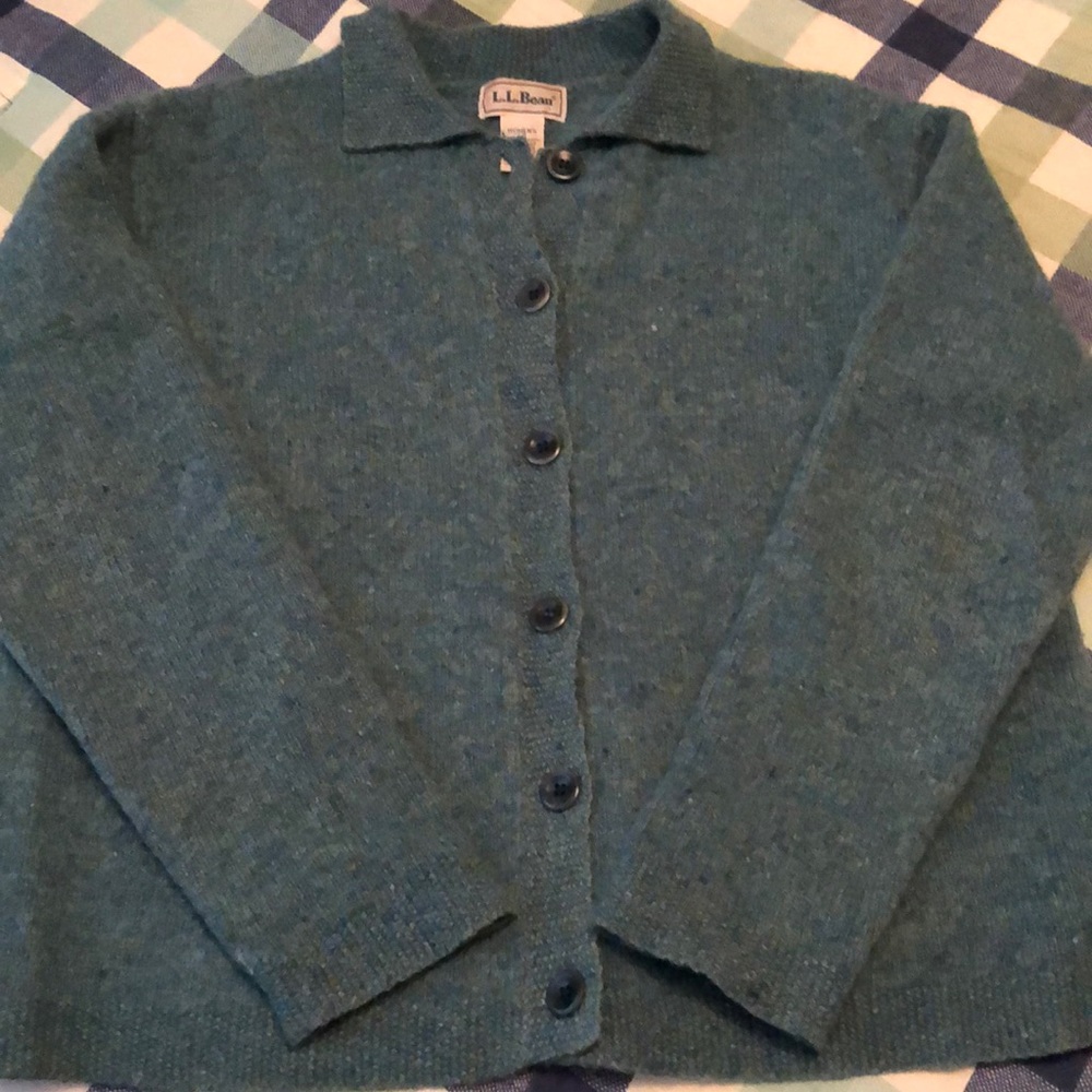L. L. Bean Wool Cardigan Sweater Size Large - image 1